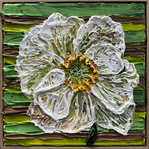 Wild Poppy